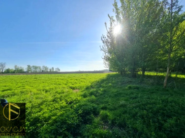Działka Marchwacz