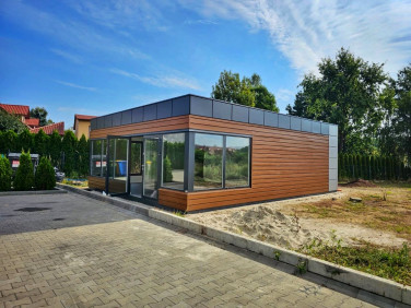 Lokal Katowice