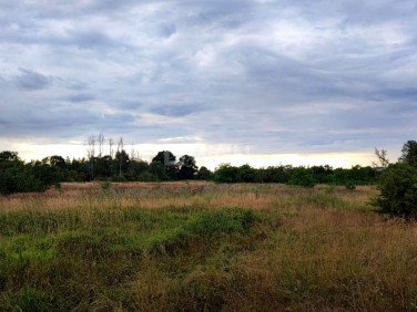 Działka Kożuchów