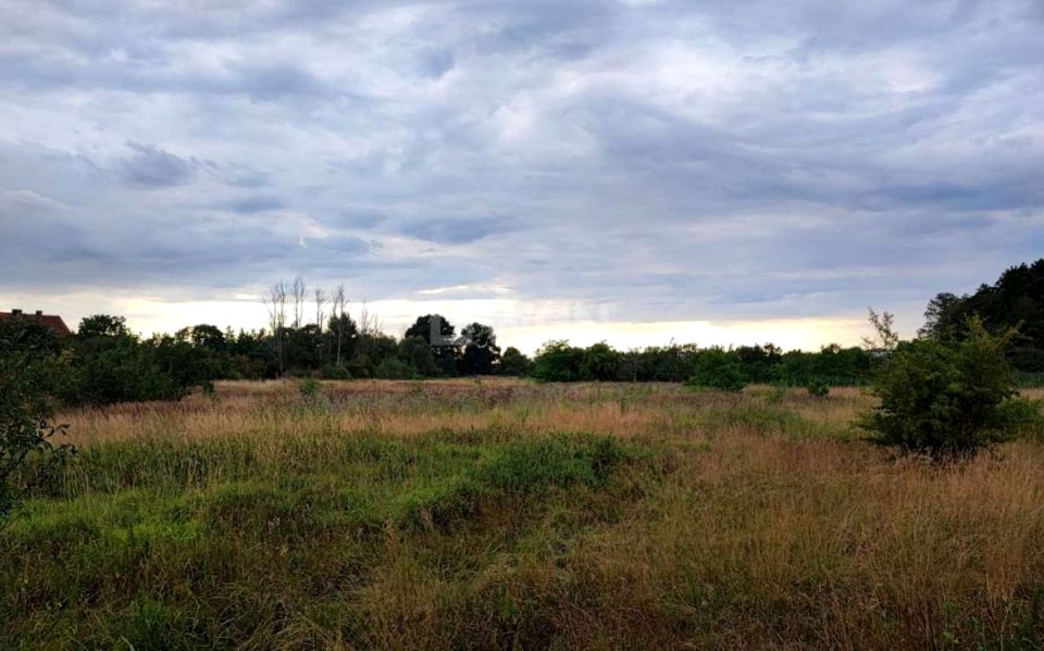 Działka Kożuchów