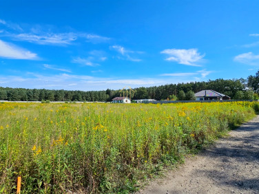 Działka przy lesie