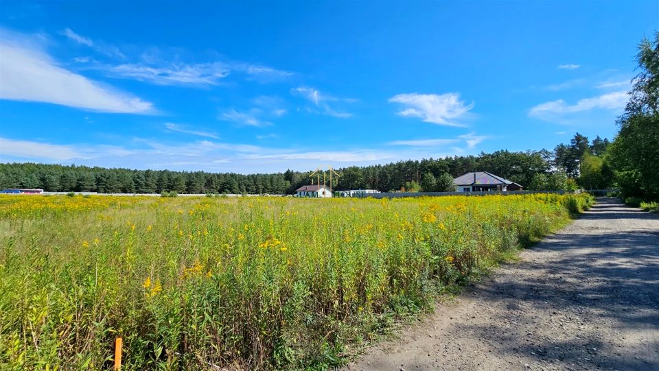 Działka przy lesie