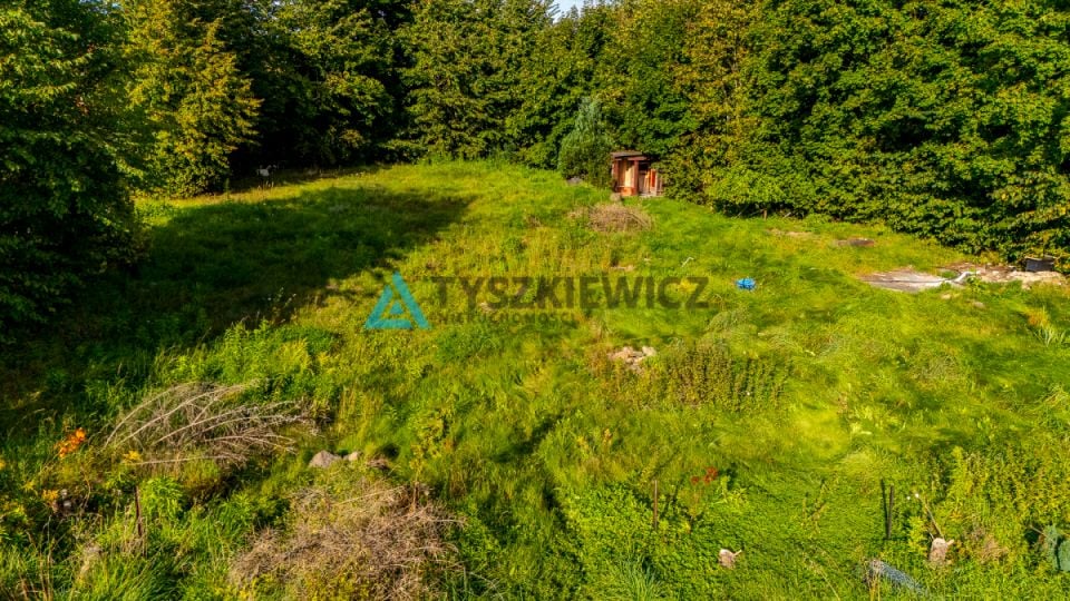 Zdjęcie 3