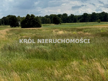 Działka Żory