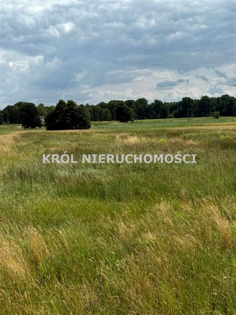 Działka Żory
