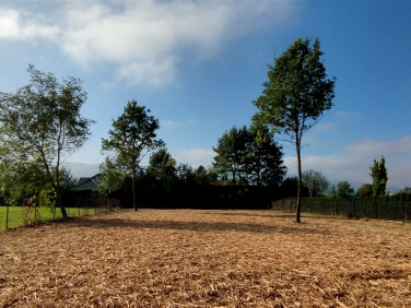 Zabudowana działka Jasienica