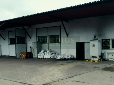 Lokal Warszawa wynajem