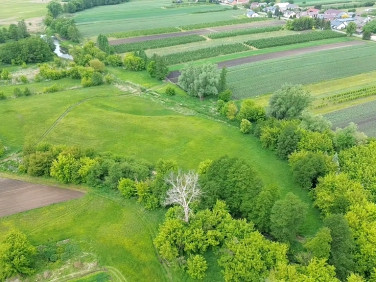 Działka rolna Kompina