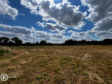 Działka budowlana Zamienice