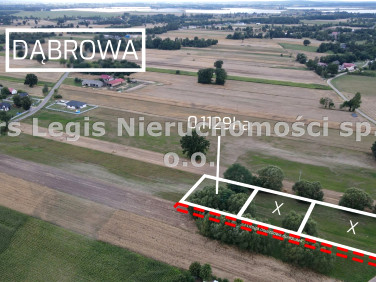 Działka budowlana Dąbrowa