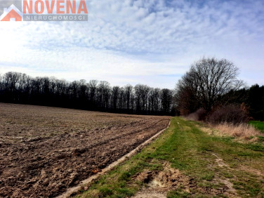 Działka budowlana Wilkowa sprzedam