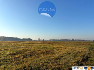 Działka Nowe Załubice