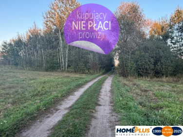Działka Stary Kraszew