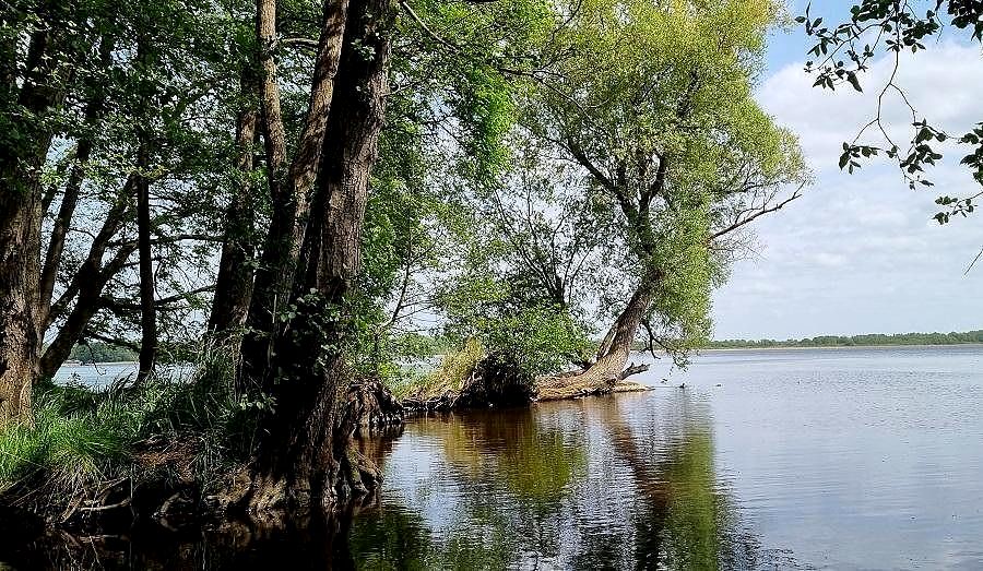 Działka budowlano-rolna Żelewo