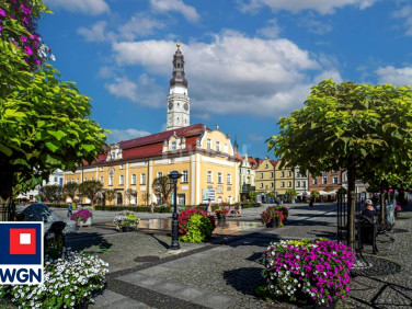 Lokal Bolesławiec