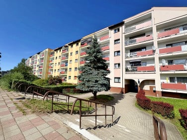 Mieszkanie Koszalin