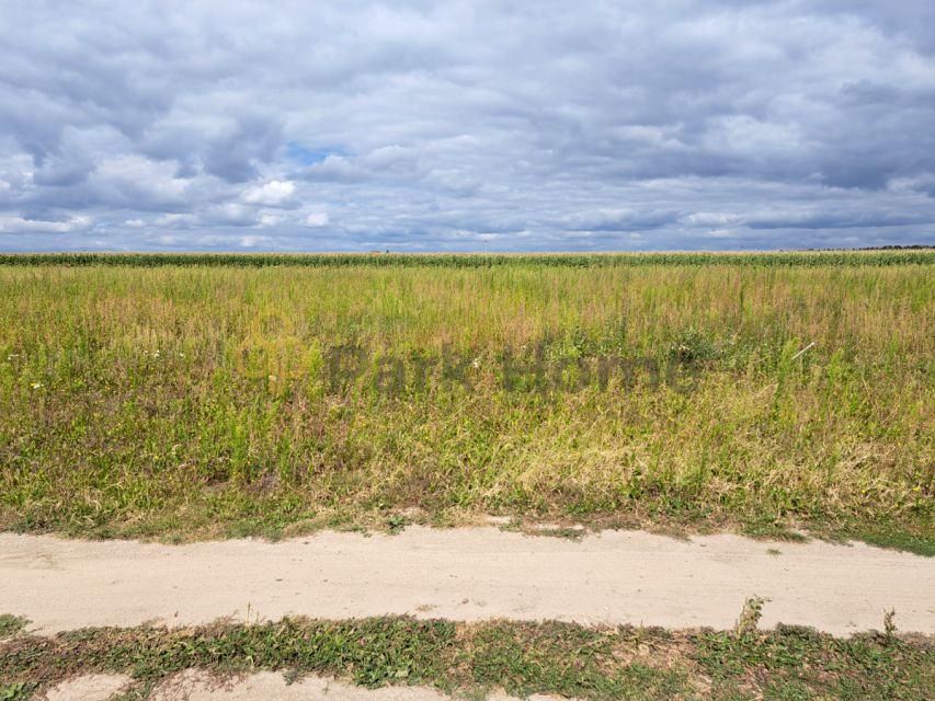 Działka budowlana Stary Lubosz sprzedam