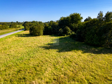 Działka Niedzieliska