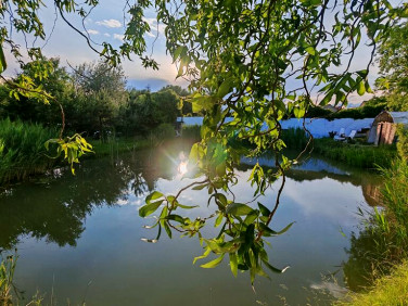 Działka Dębno