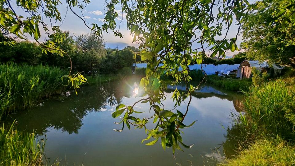 Działka Dębno