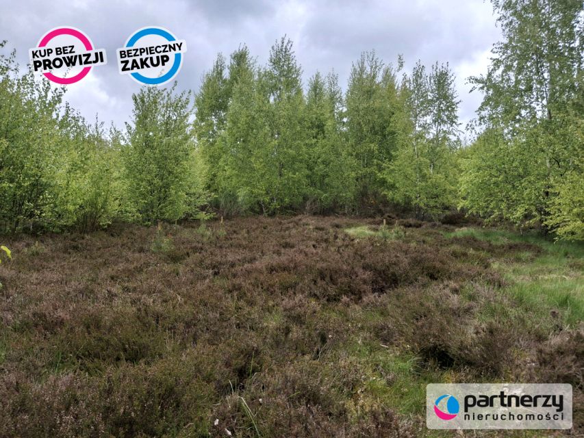 Działka przy lesie