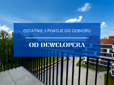 Mieszkanie Katowice sprzedaż