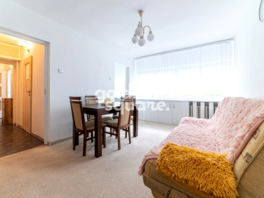 Mieszkanie blok mieszkalny przy lesie