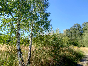 Działka rekreacyjna Rybnik