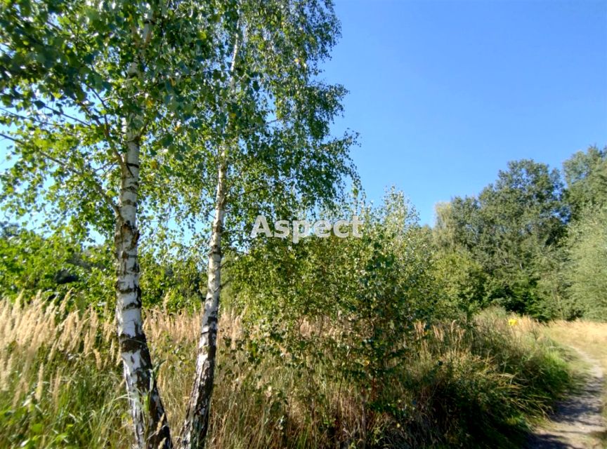Działka rekreacyjna Rybnik