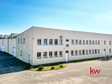 Lokal Szamotuły