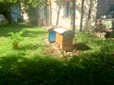 Działka leśna Strzałków
