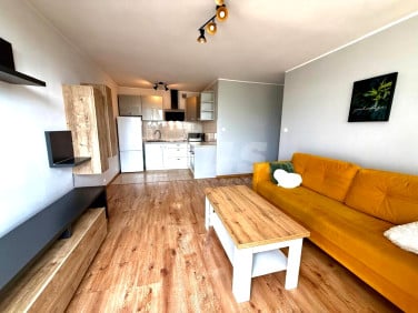 Mieszkanie Szczecin wynajem