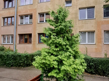 Mieszkanie Kutno