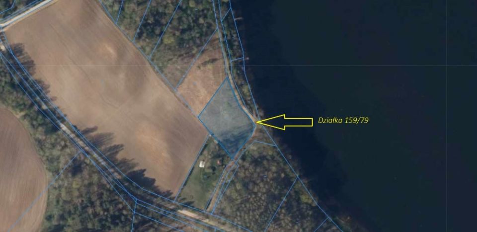 Działka leśna Pluszkiejmy sprzedam