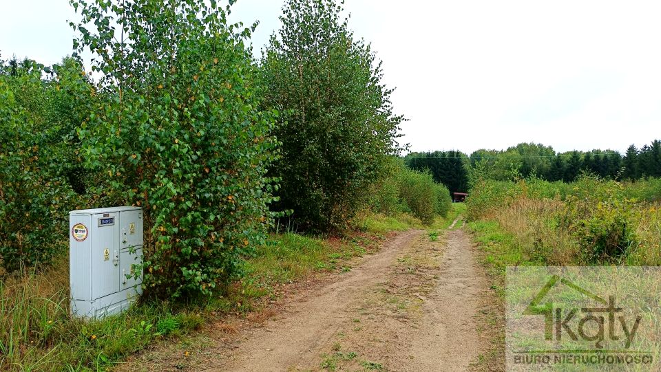 Działka przy lesie
