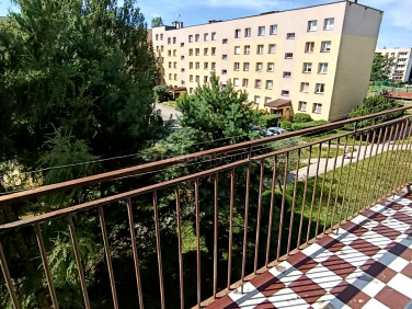 Mieszkanie Kielce