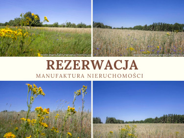 Działka przy lesie