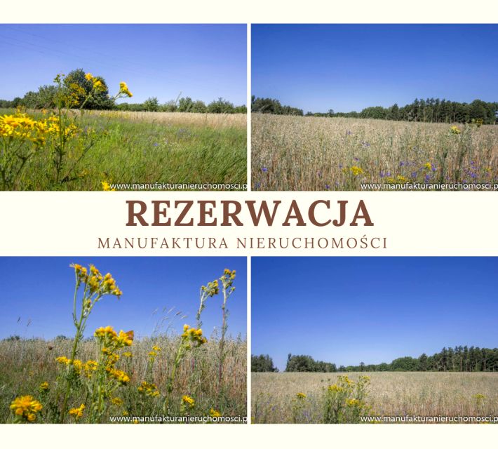 Działka przy lesie