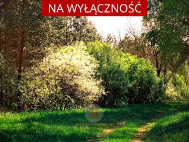 Działka Leszno
