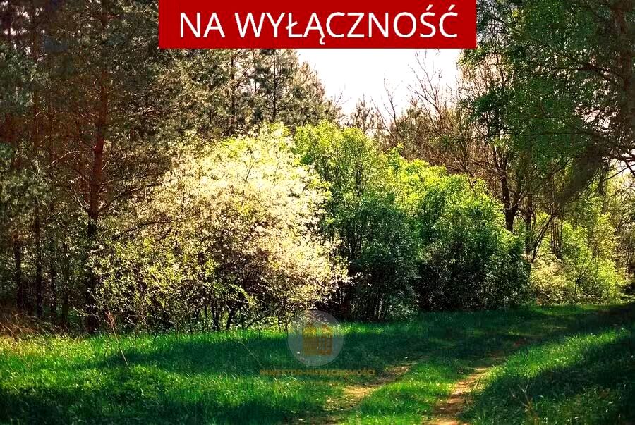 Działka Leszno