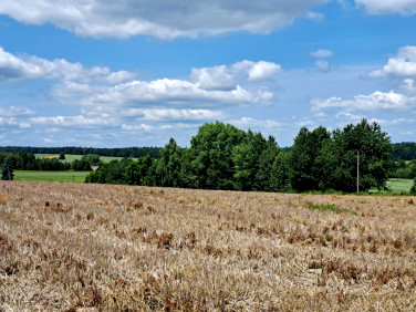 Działka budowlana Celiny