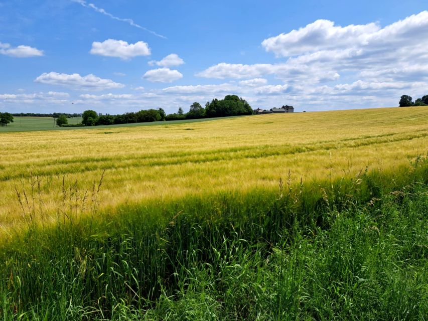 Działka budowlana Wielmoża sprzedam