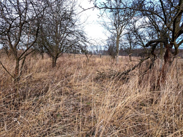 Działka budowlana Barbarka