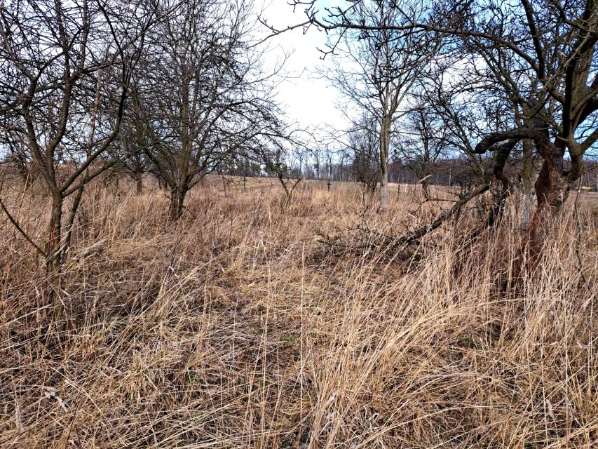 Działka budowlana Barbarka