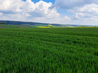 Działka budowlana sprzedam