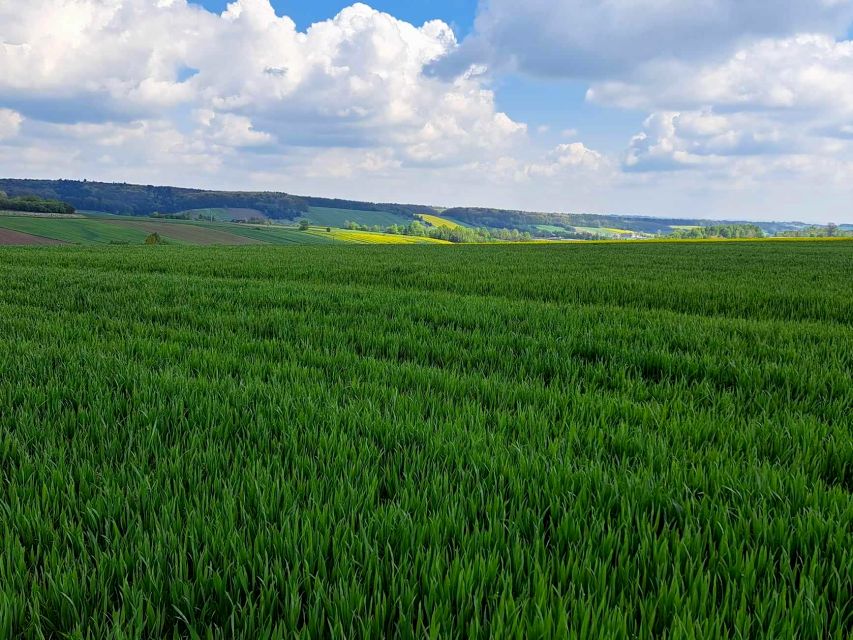Działka budowlana sprzedam