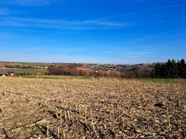 Działka budowlano-rolna Cianowice