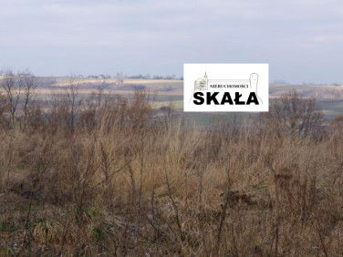 Działka budowlano-rolna Czaple Wielkie