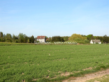 Działka siedliskowa Radomek