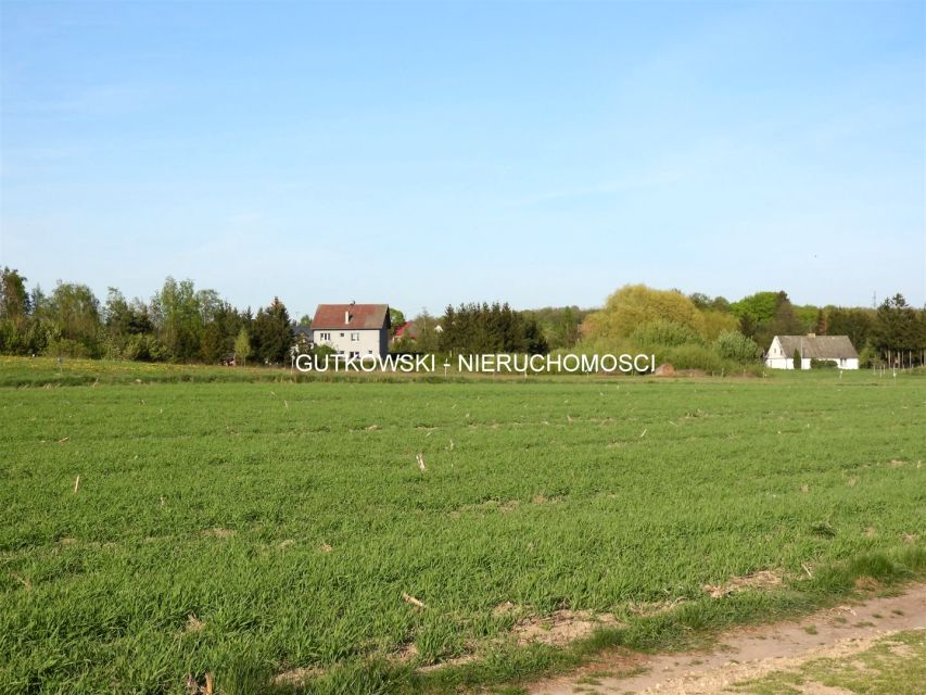 Działka siedliskowa Radomek
